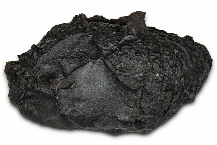 Dragon Scale Stone (Iron, Manganese, Siderite Nodule) #350214